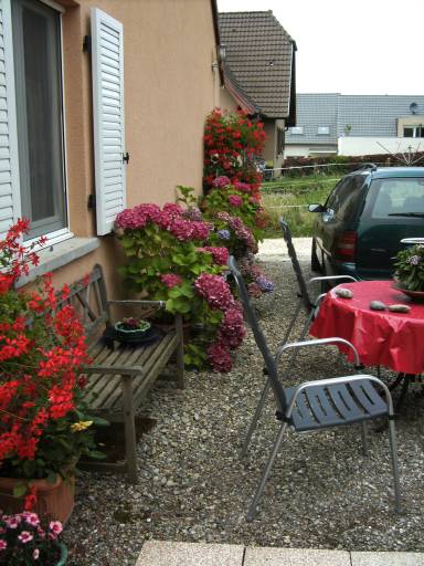 Bild