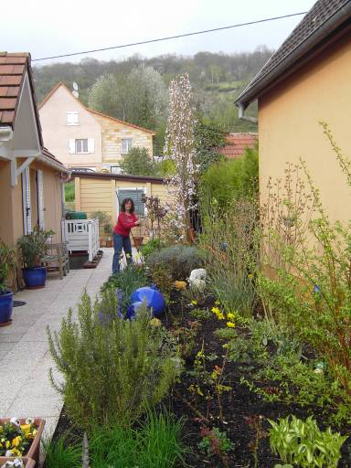 Bild
